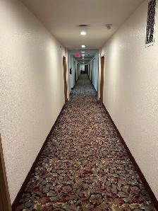 Short term monthly Rooms (Devon AB) - Photo 9
