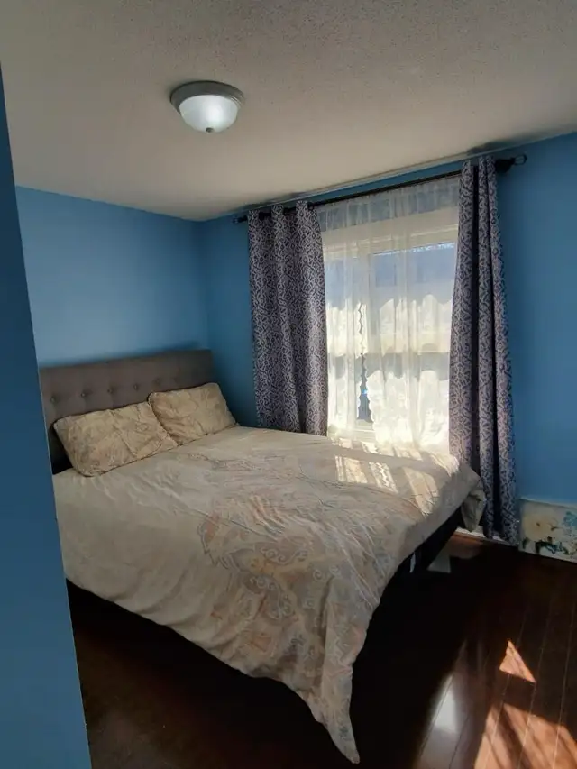 Brampton Quite Room in a basement close to bus stop - Photo 10