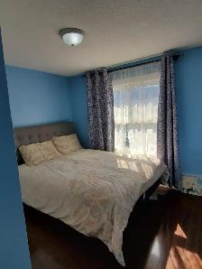 Brampton Quite Room in a basement close to bus stop - Photo 10