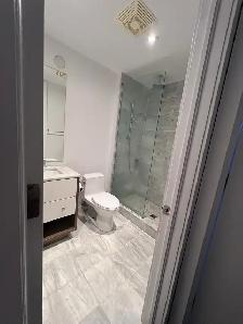 soho lisgar condo for rent - Photo 3