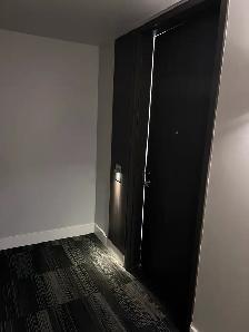 soho lisgar condo for rent - Photo 9