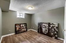 FULL BASEMENT FOR RENT $1295 - Photo 5