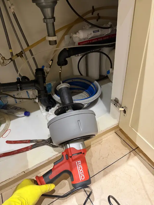 Snake kitchen drain