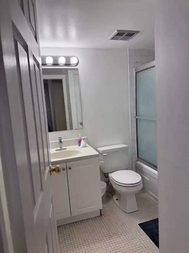 Large Furnished Two Bedroom Suite in Downtown Toronto - Photo 9