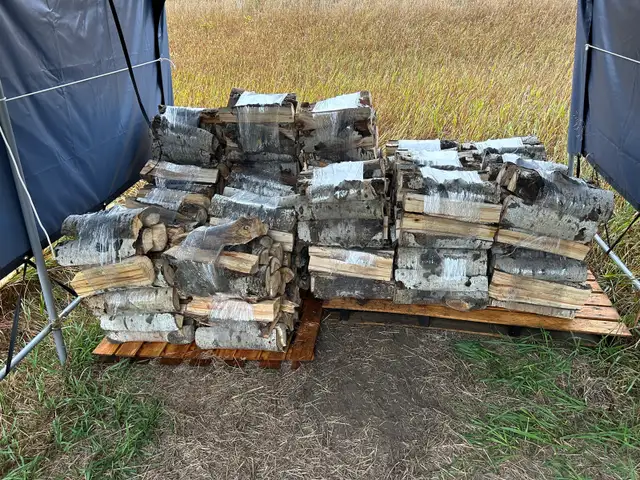 Firewood for sale-pickup Saskatoon and Corman Park - Photo 2