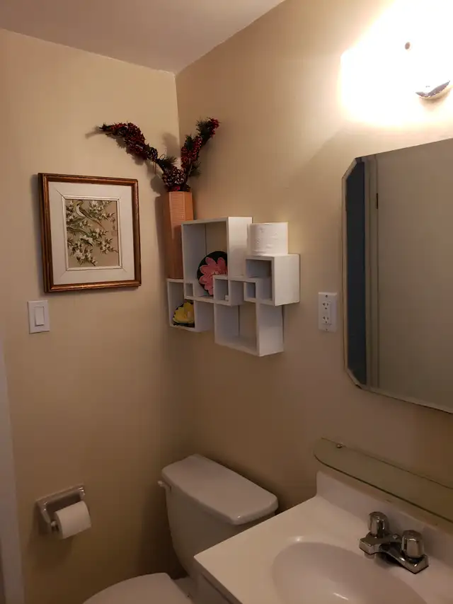Fully Furnished Bright Spacious All Utilities incl. 3 1/2 July 1 - Photo 8