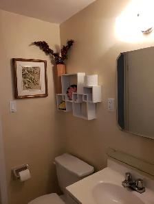 Fully Furnished Bright Spacious All Utilities incl. 3 1/2 July 1 - Photo 8