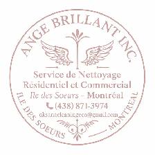 ANGE BRILLANT INC