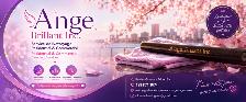 ANGE BRILLANT INC - Photo 5