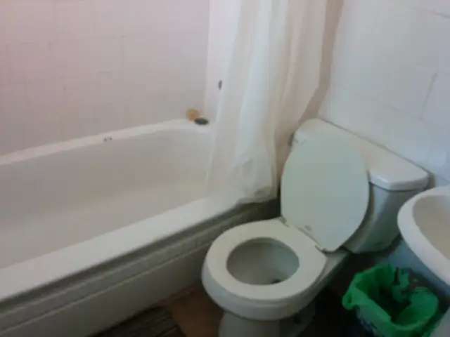 DT 41/2 apartment for rent - Photo 7