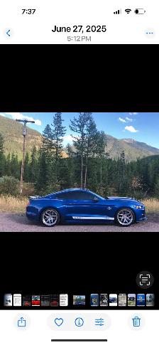 2017 Shelby super snake