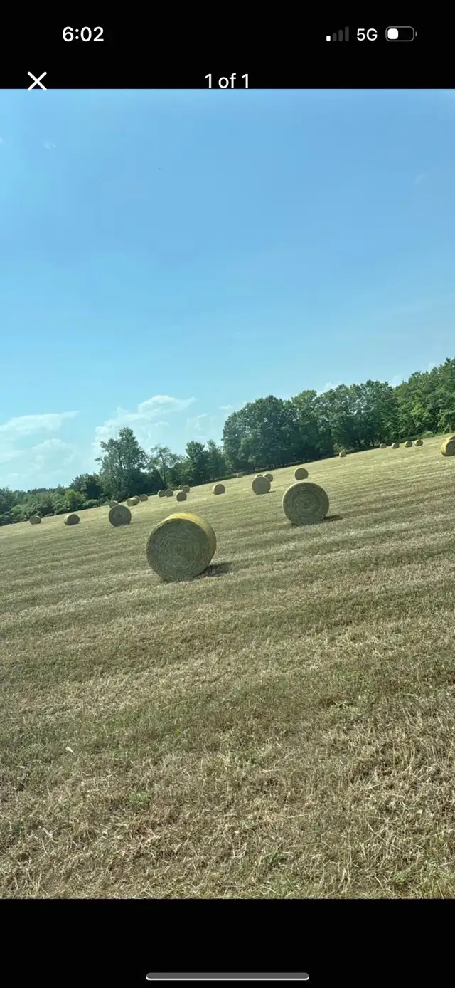 1st cut 4x5’s round bale
