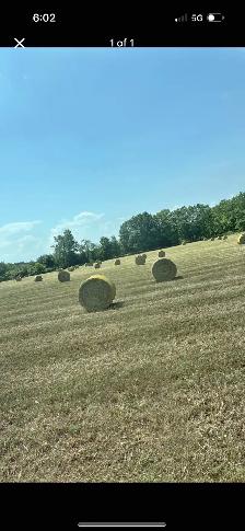 1st cut 4x5’s round bale