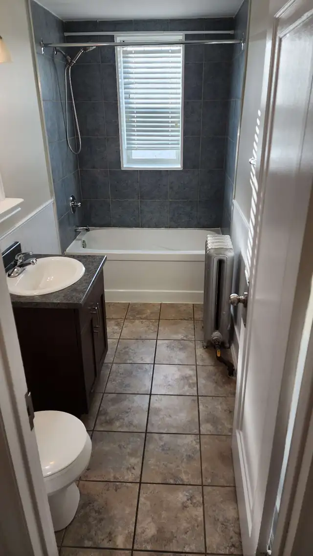 1 Bedroom Apartment for Sublet - Photo 3