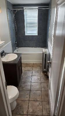1 Bedroom Apartment for Sublet - Photo 3