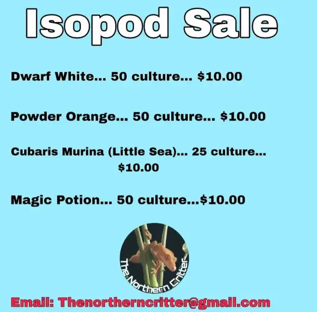 ISOPOD SALE