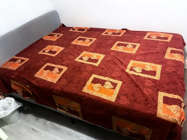 Furnished basement for rent - Scarborough - Photo 2