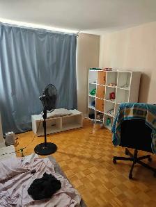 room for rent near Seneca college