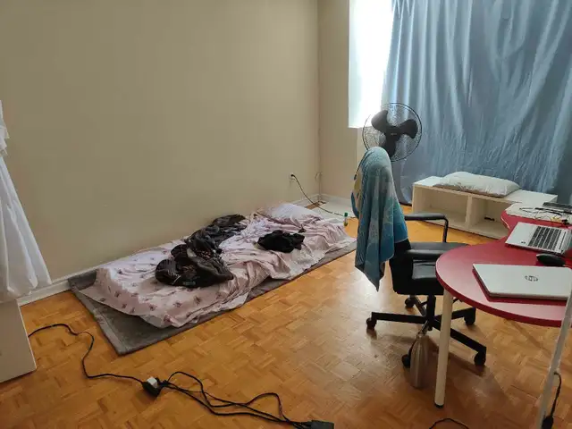 room for rent near Seneca college - Photo 3
