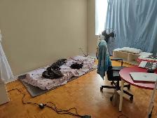 room for rent near Seneca college - Photo 3