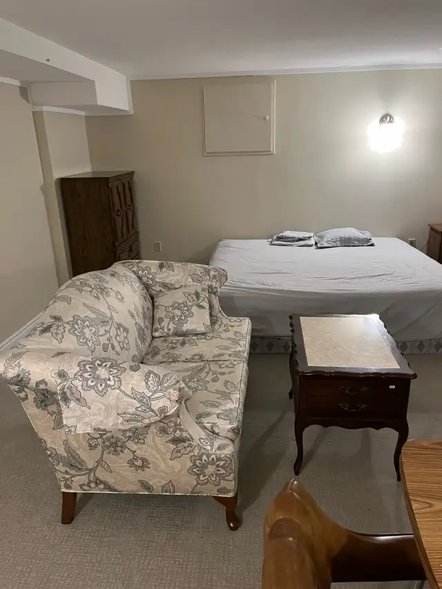 Extra large basement bedroom - Photo 7