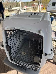 DOG Kennel…heavy grey plastic