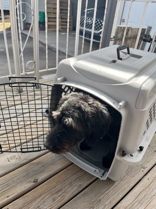 DOG Kennel…heavy grey plastic - Photo 4