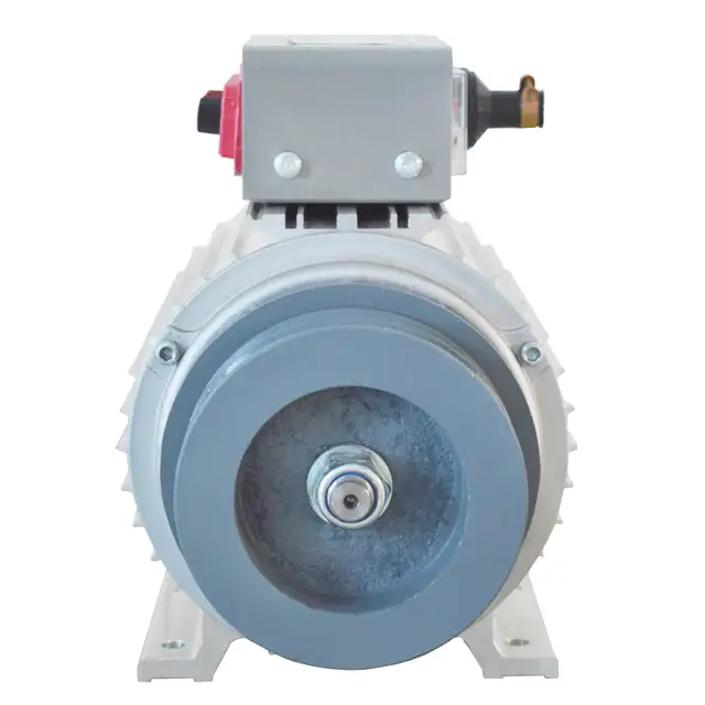 Brushless Rare Earth Permanent Magnet Generator 380V 8KW 056047 - Photo 6