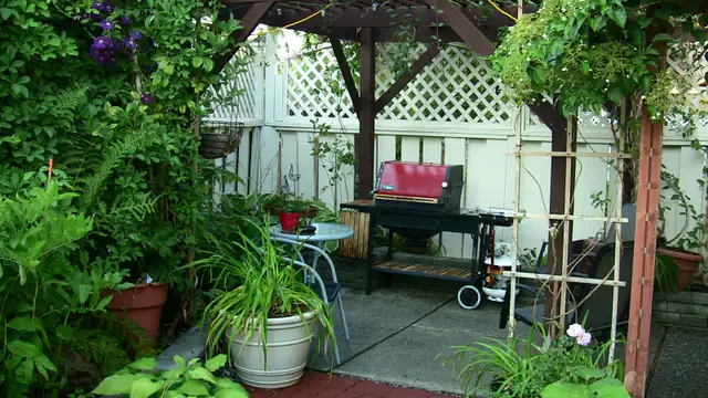 2 bedroom suite apartment in Willoughby area (Langley) - Photo 2