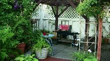 2 bedroom suite apartment in Willoughby area (Langley) - Photo 2
