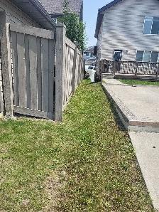 A&Z Grass Cuttimg Services - Photo 4