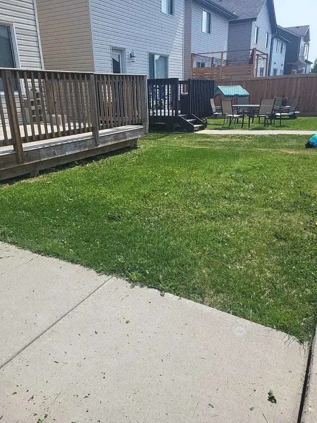 A&Z Grass Cuttimg Services - Photo 5