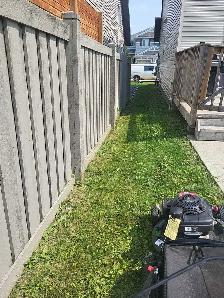 A&Z Grass Cuttimg Services - Photo 6