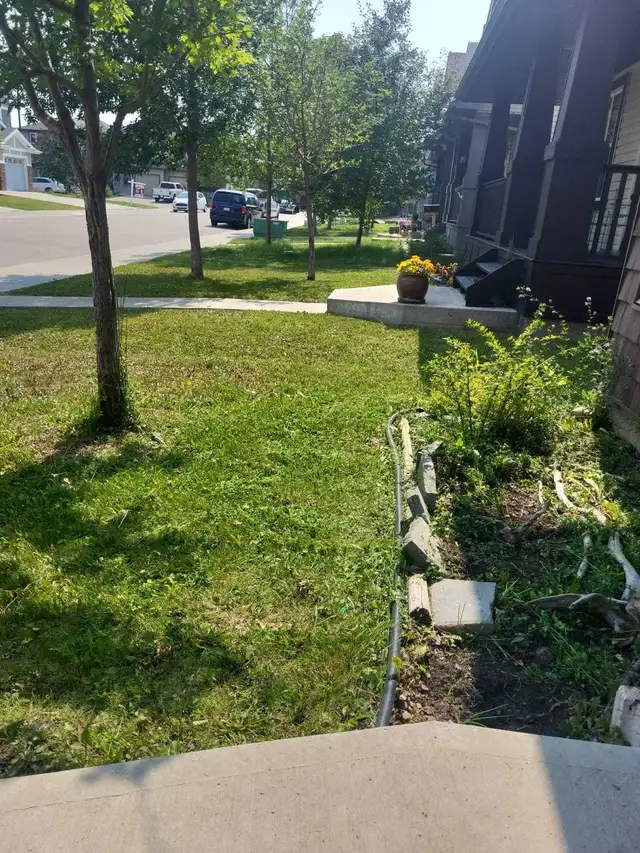 A&Z Grass Cuttimg Services - Photo 7