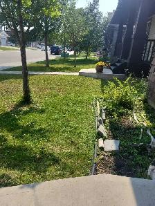 A&Z Grass Cuttimg Services - Photo 7