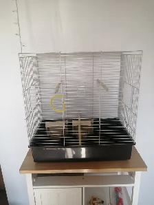 Cage pour cockatiel, inséparable à vendre