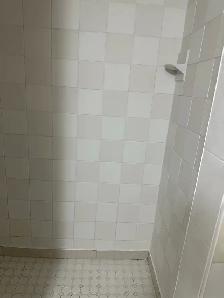 2 Bedroom Basement Apartment for Rent – Markham & Denison Area - Photo 4
