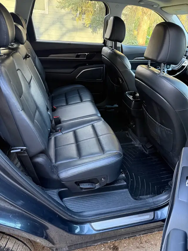 2020 Kia Telluride SX V6 - Photo 3