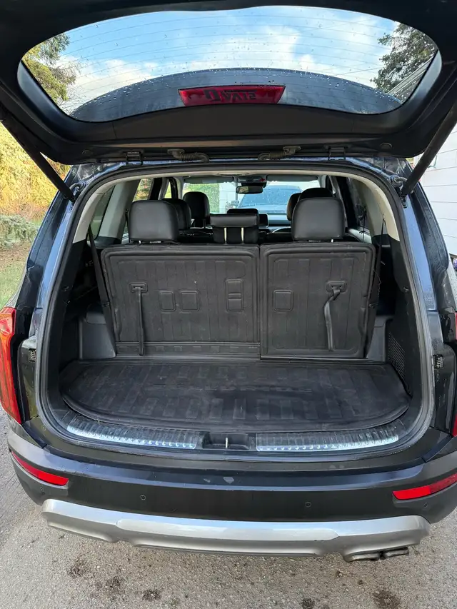 2020 Kia Telluride SX V6 - Photo 5