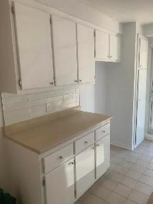 Grand 4 1/2  a louer - Rosemont - La petite Patrie - Photo 5