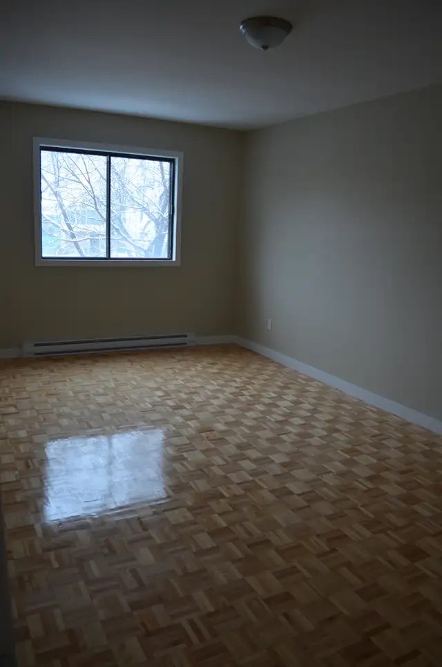Grand 4 1/2  a louer - Rosemont - La petite Patrie - Photo 6
