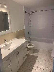 Grand 4 1/2  a louer - Rosemont - La petite Patrie - Photo 10