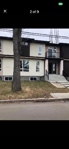 Beautiful New Basement Suite for Rent
