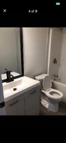 Beautiful New Basement Suite for Rent - Photo 3