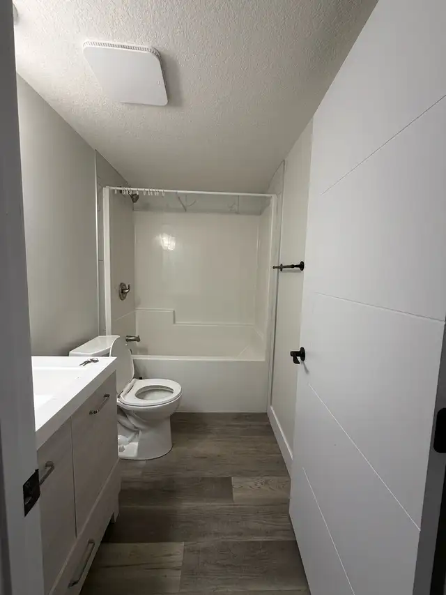 Beautiful New Basement Suite for Rent - Photo 10