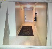 BEAUTIFUL RENOVATED 2 BEDROOM APARTMENT RENTAL JULY1