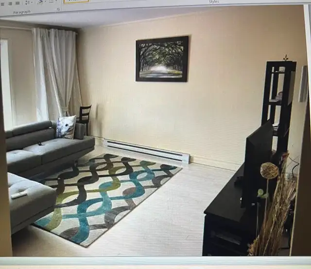 BEAUTIFUL RENOVATED 2 BEDROOM APARTMENT RENTAL JULY1 - Photo 3