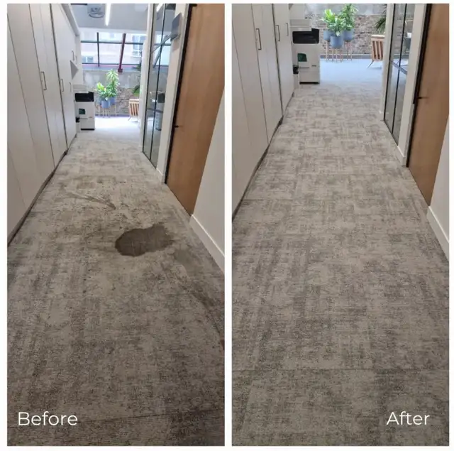 Carpet Cleaning