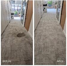 Carpet Cleaning