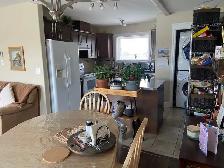 2 Bedroom suite near Canora, West Edmonton - Photo 4